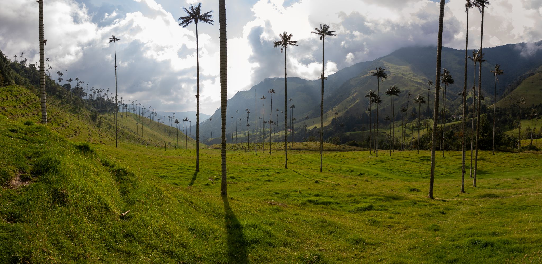 Val de Cocora